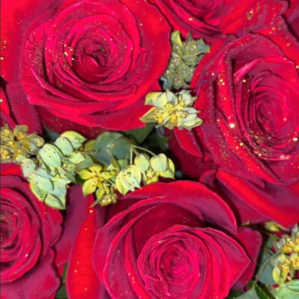 Meet your Posher, Lilit